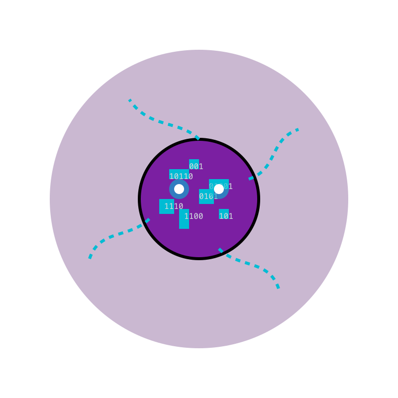 Hackulus